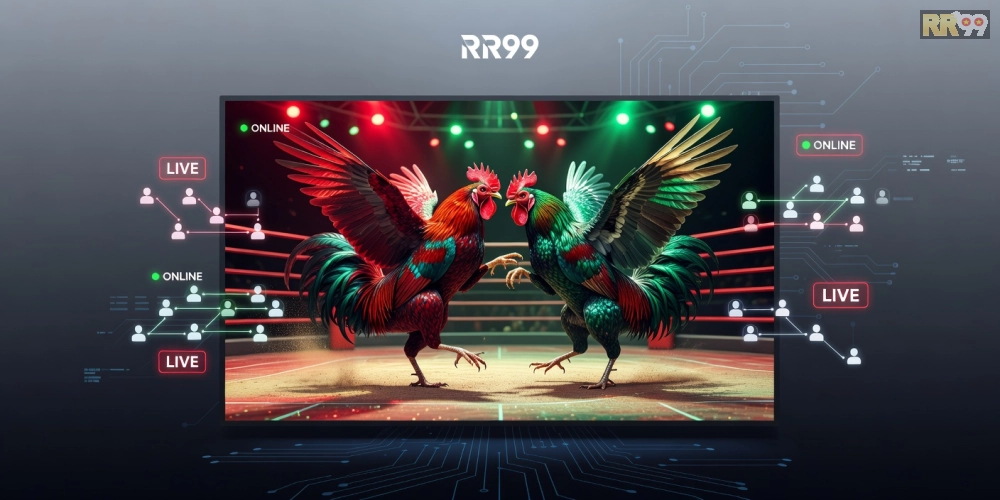 Hình minh họa khái niệm xem đá gà trực tuyến trên nền tảng RR99 với giao diện hiện đại và trận đấu sống động